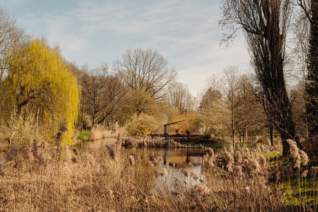 Torricellistraat 27-42